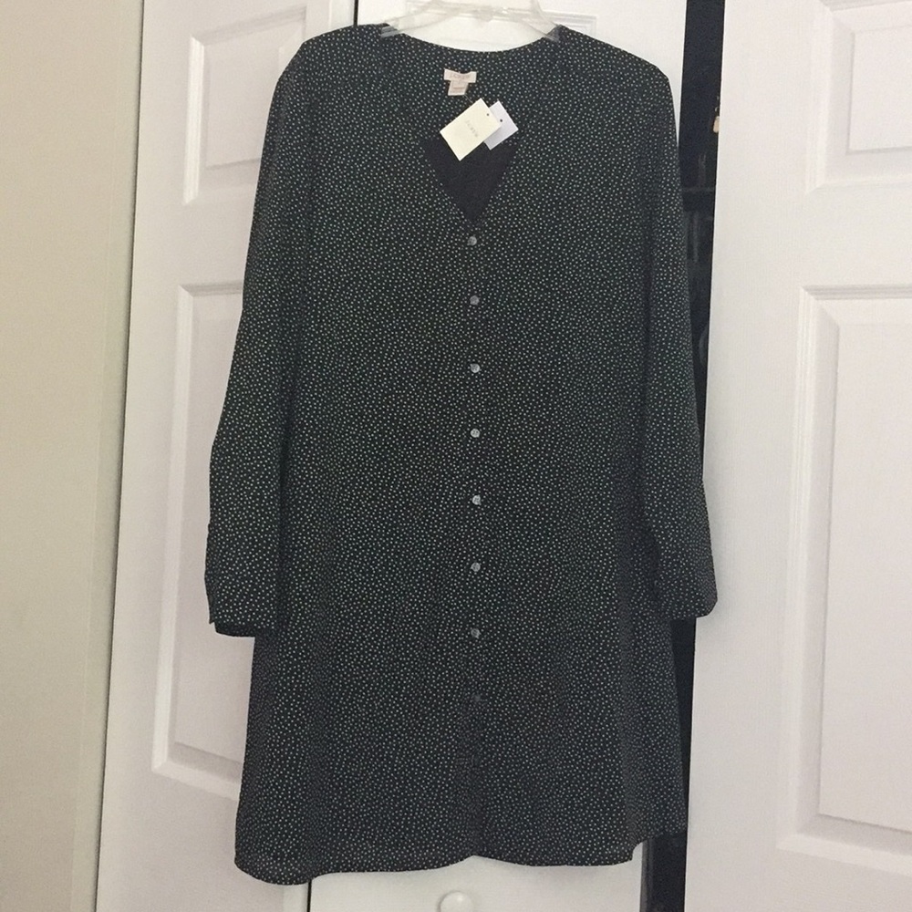 J Crew Long Sleeved Button Up Dress